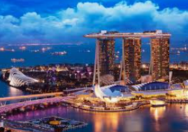 世界杯下单平台网站官网最新版